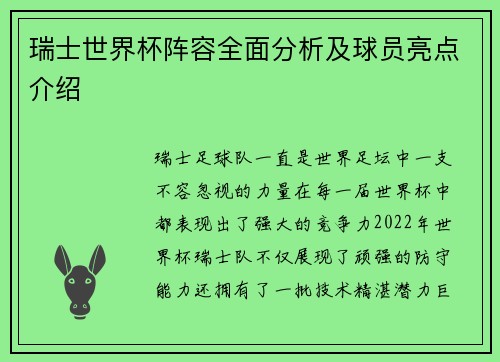 瑞士世界杯阵容全面分析及球员亮点介绍